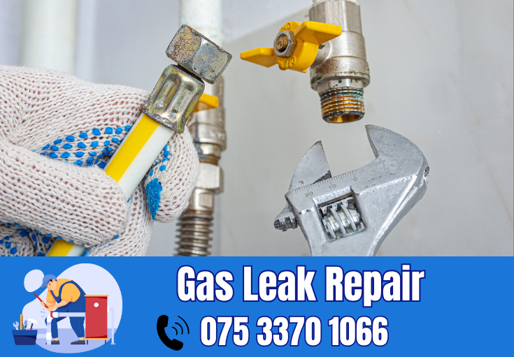 gas leak repair Dartford