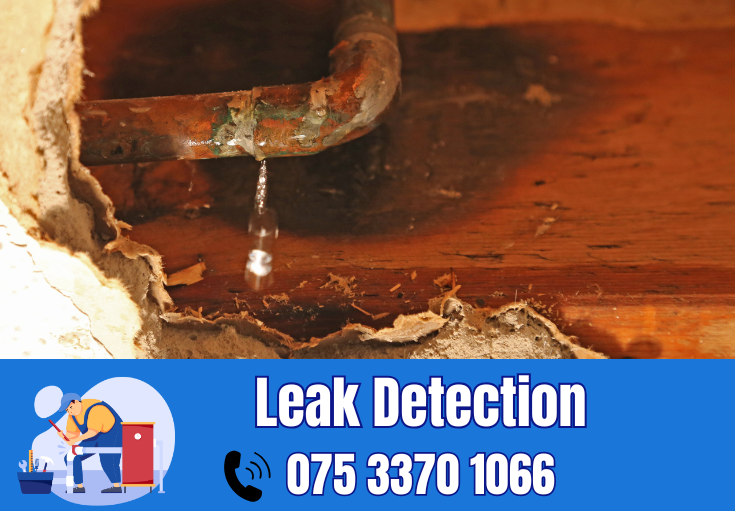 leak detection Dartford