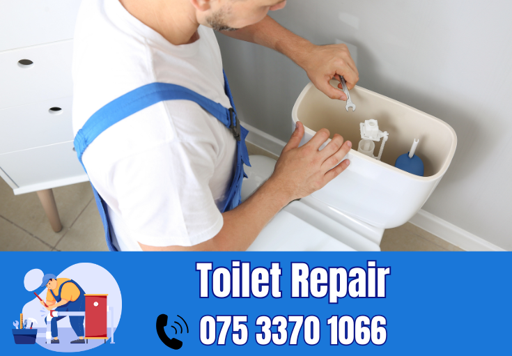 toilet repair Dartford